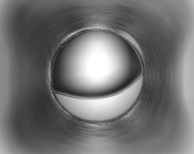 X0000089681388200706210805