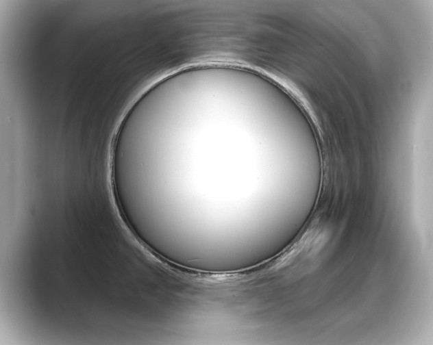 X0000089681390200706210805