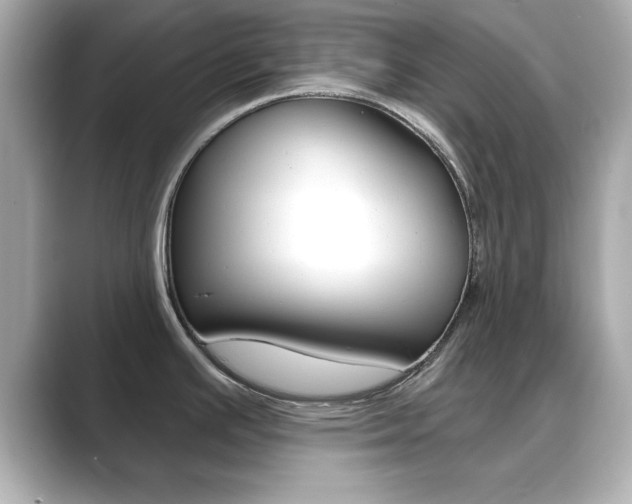 X0000089681391200706210805
