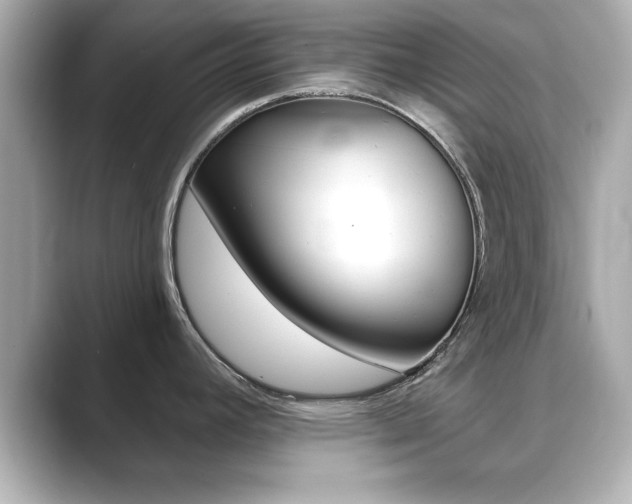 X0000089681392200706210805
