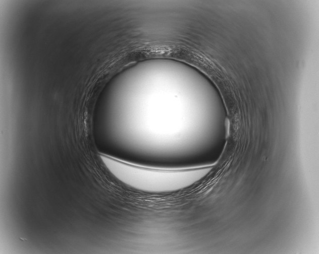 X0000089681394200706210804