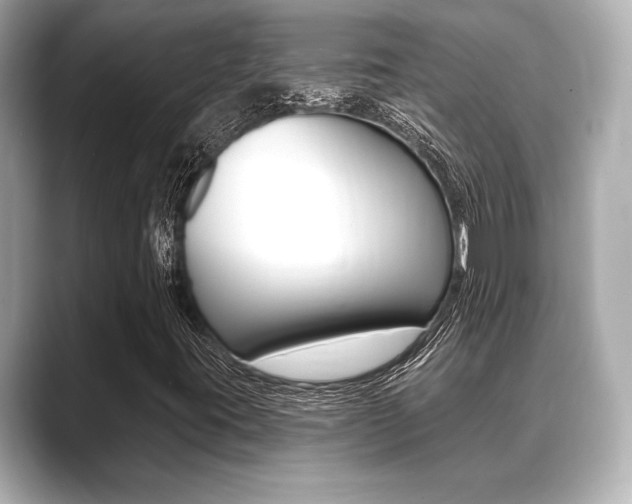 X0000089681395200706210804