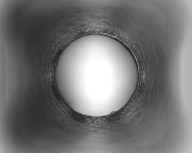 X0000089681397200706210805