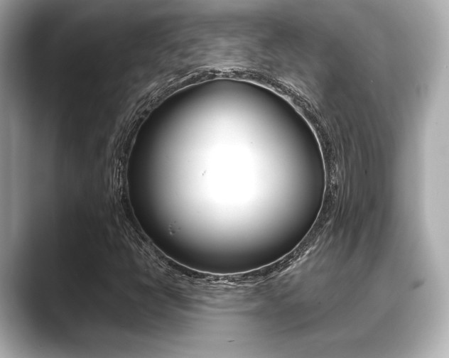 X0000089681398200706210805