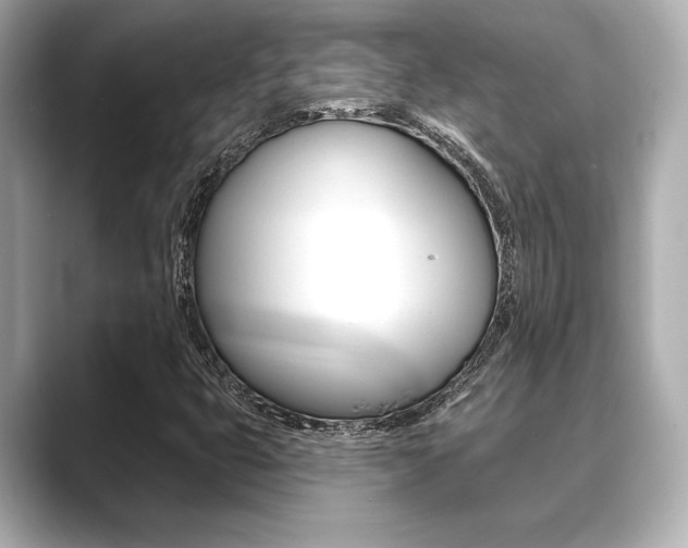 X0000089681399200706210805