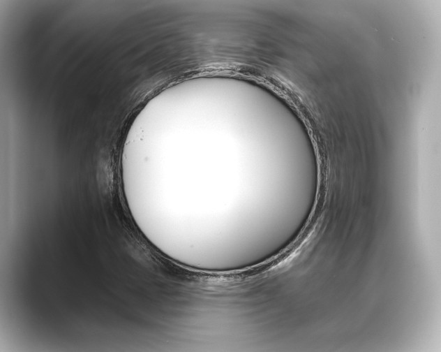 X0000089681401200706210805
