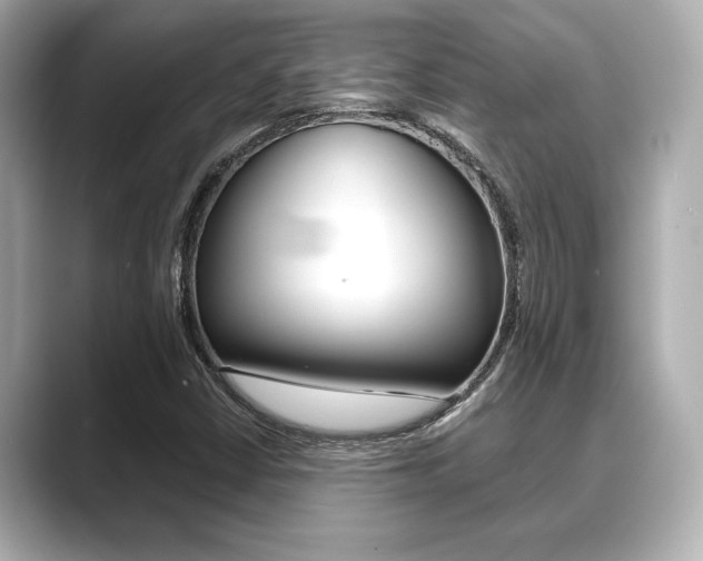 X0000089681402200706210805