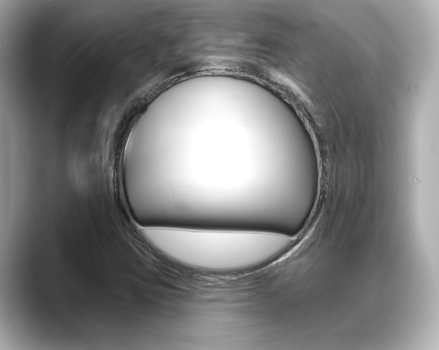 X0000089681403200706210805