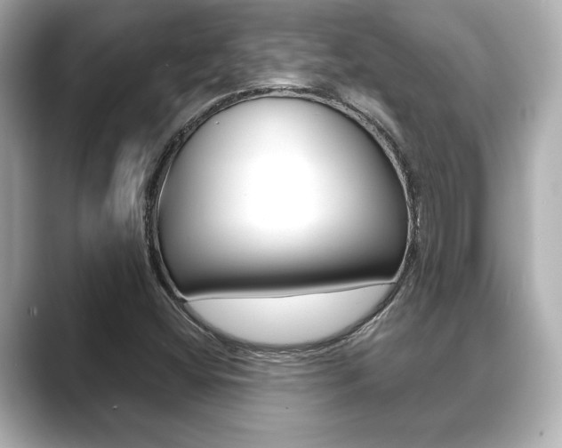 X0000089681404200706210805