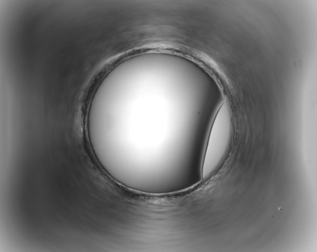 X0000089681408200706210805