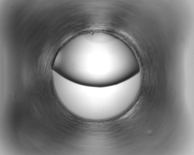 X0000089681409200706210805