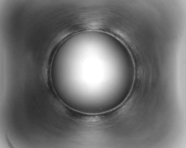 X0000089681410200706210805