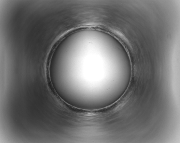 X0000089681412200706210805