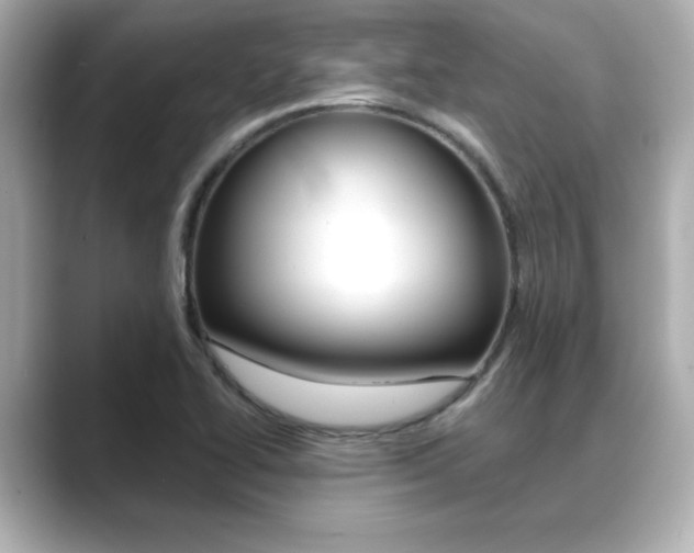 X0000089681414200706210805