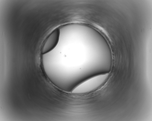 X0000089681415200706210805