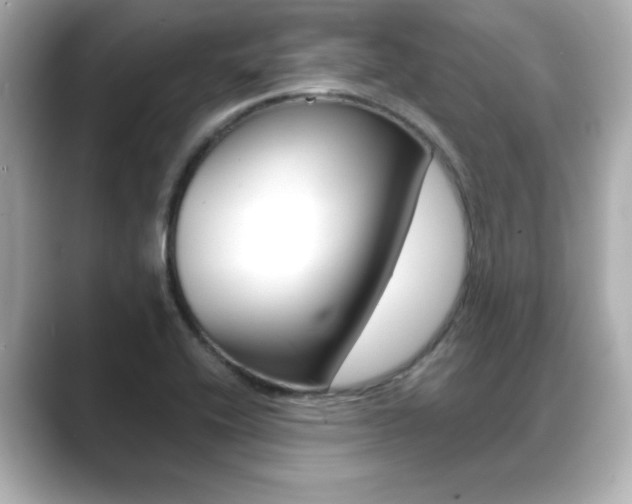 X0000089681416200706210805