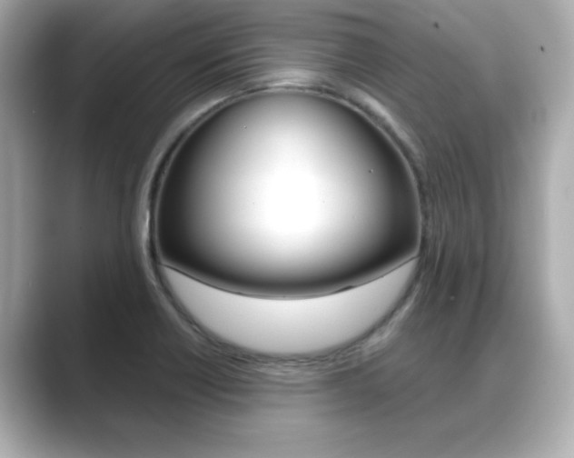 X0000089681418200706210805