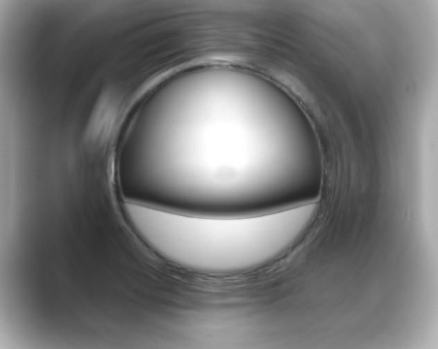 X0000089681420200706210805