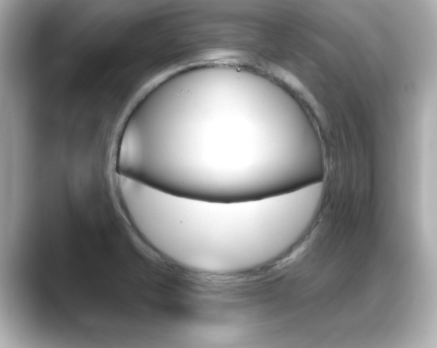 X0000089681421200706210805