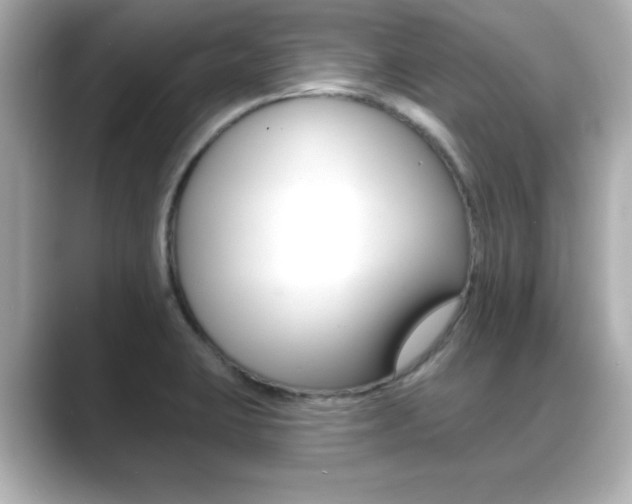 X0000089681423200706210805