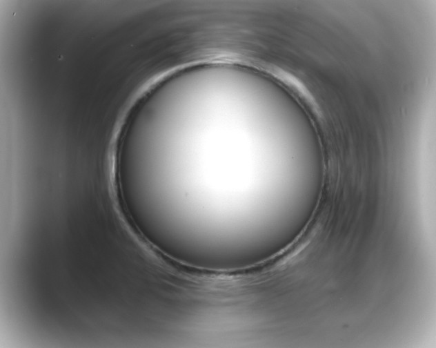 X0000089681424200706210805
