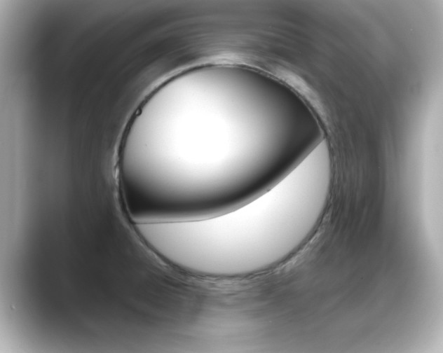 X0000089681428200706210805