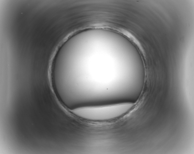 X0000089681429200706210805