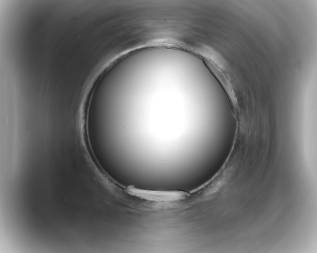 X0000089681430200706210805