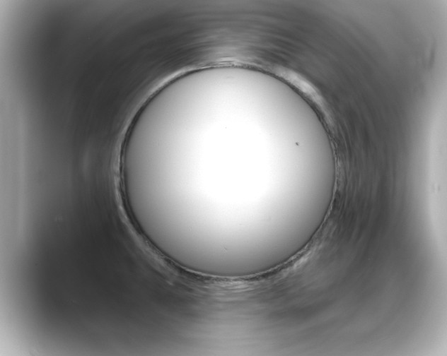 X0000089681431200706210805