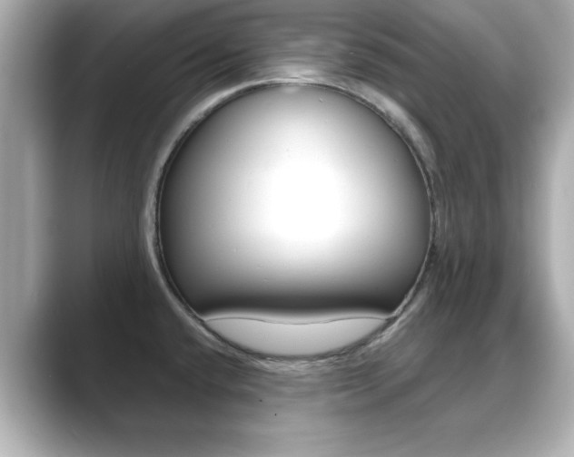 X0000089681432200706210805