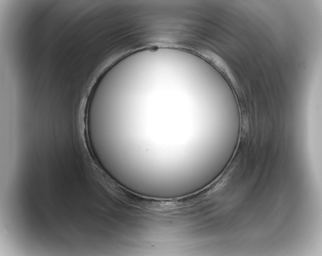 X0000089681435200706210805