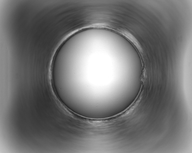 X0000089681436200706210805