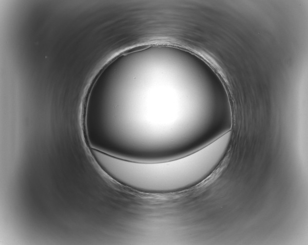 X0000089681438200706210805