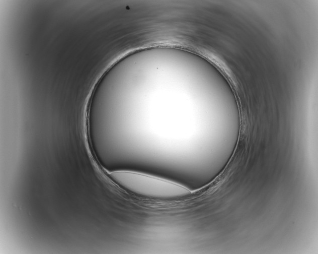 X0000089681439200706210805