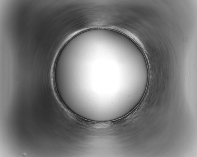 X0000089681440200706210805