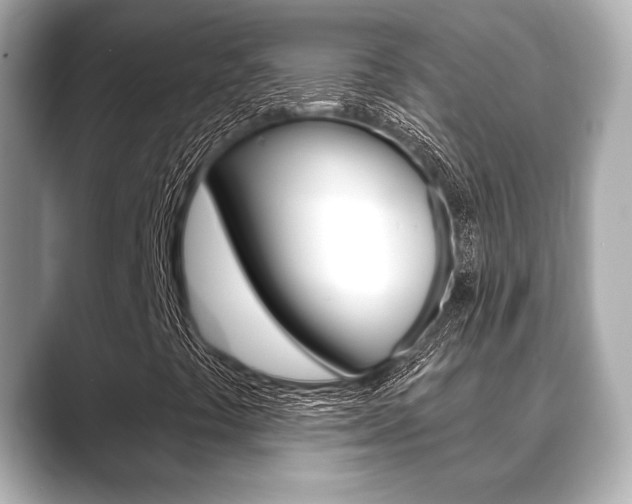X0000089681441200706210804