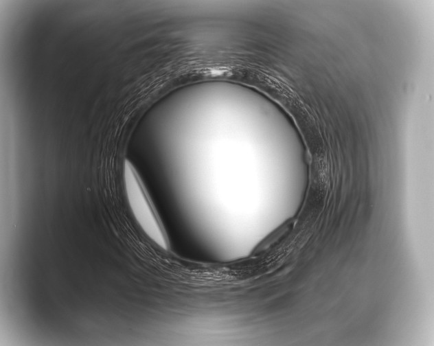 X0000089681442200706210804