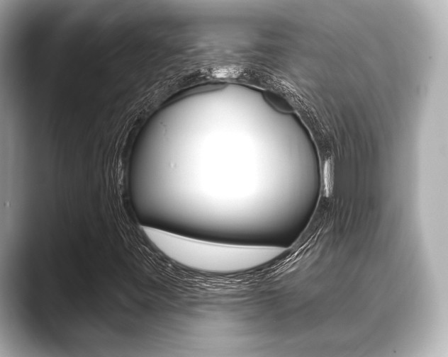 X0000089681443200706210804
