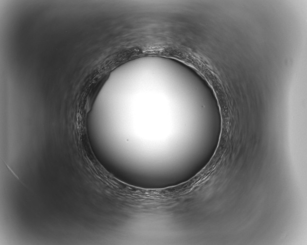 X0000089681445200706210804