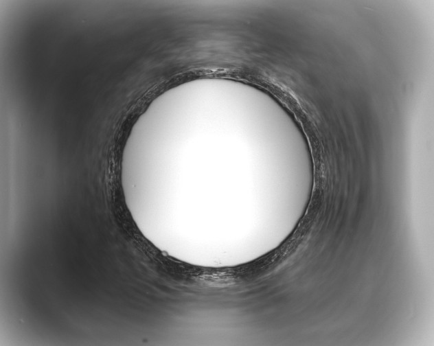 X0000089681447200706210804