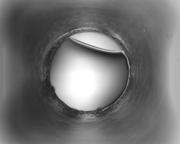 X0000089681448200706210804