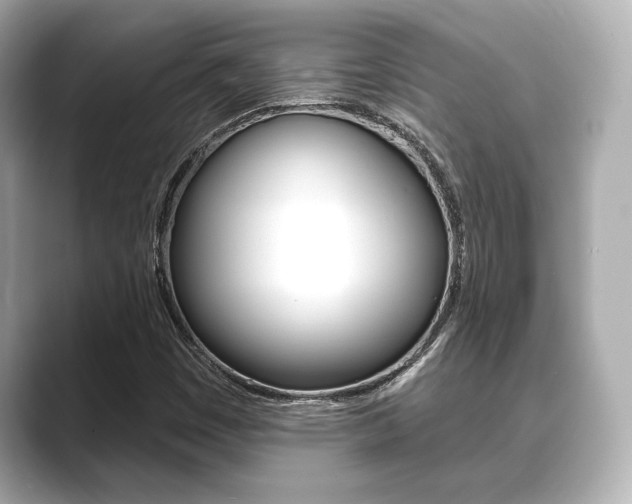 X0000089681449200706210804
