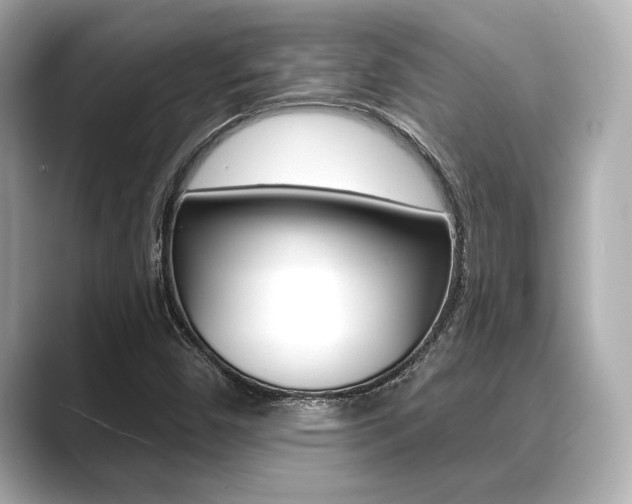 X0000089681450200706210804