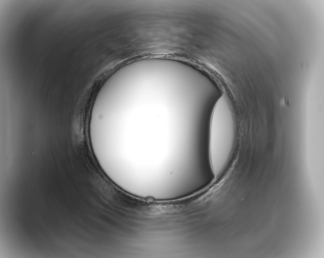 X0000089681451200706210804