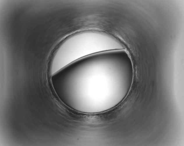 X0000089681452200706210804