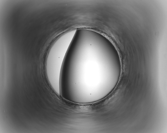 X0000089681453200706210804
