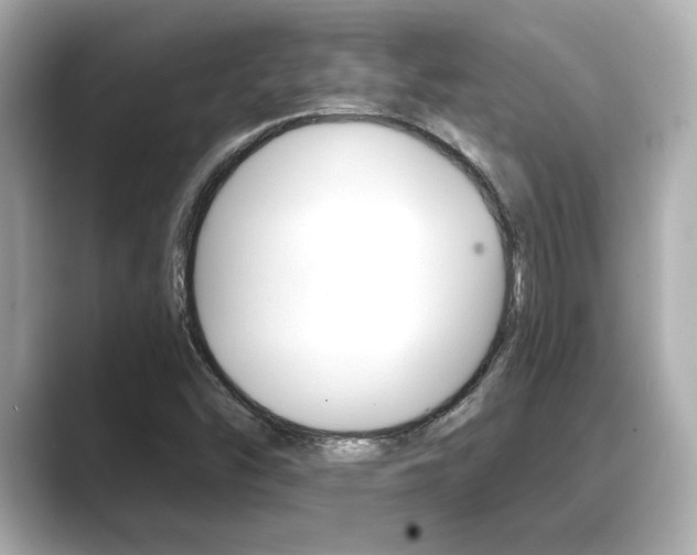 X0000089681454200706210804