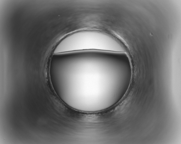 X0000089681455200706210804