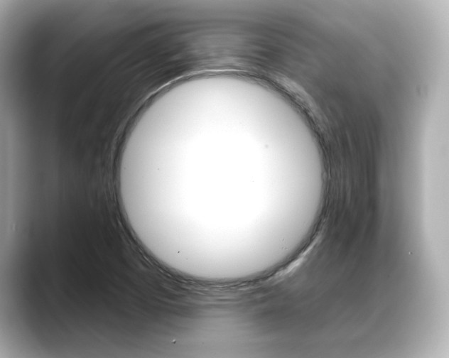 X0000089681457200706210804