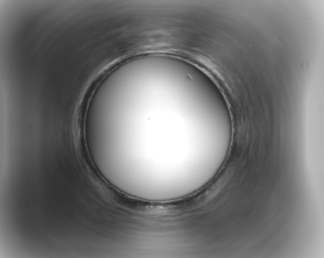 X0000089681458200706210804